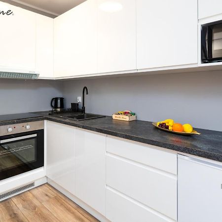 Wonder Home - Apartamenty W Sercu Karpacza, Blisko Deptaka I Terenow Zielonych 外观 照片